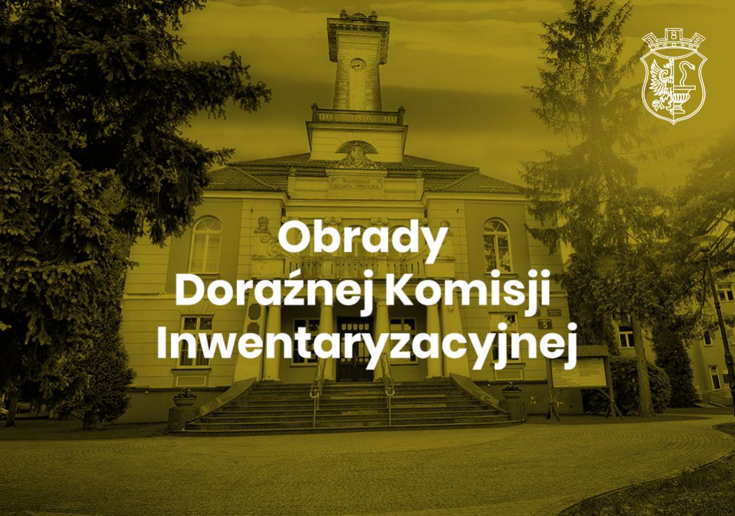 doraźna Komisja Inwentaryzacyjna